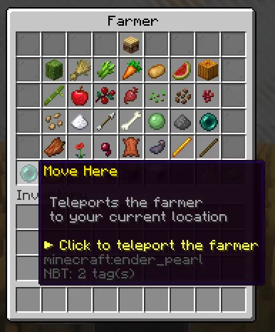 Teleport Item